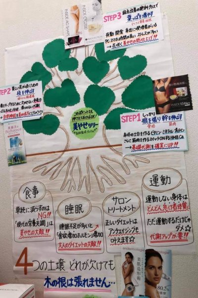 大人気!医師監修「大人の美やせプログラム」