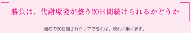 美やせとは