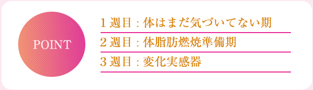美やせとは