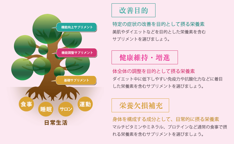 美やせとは